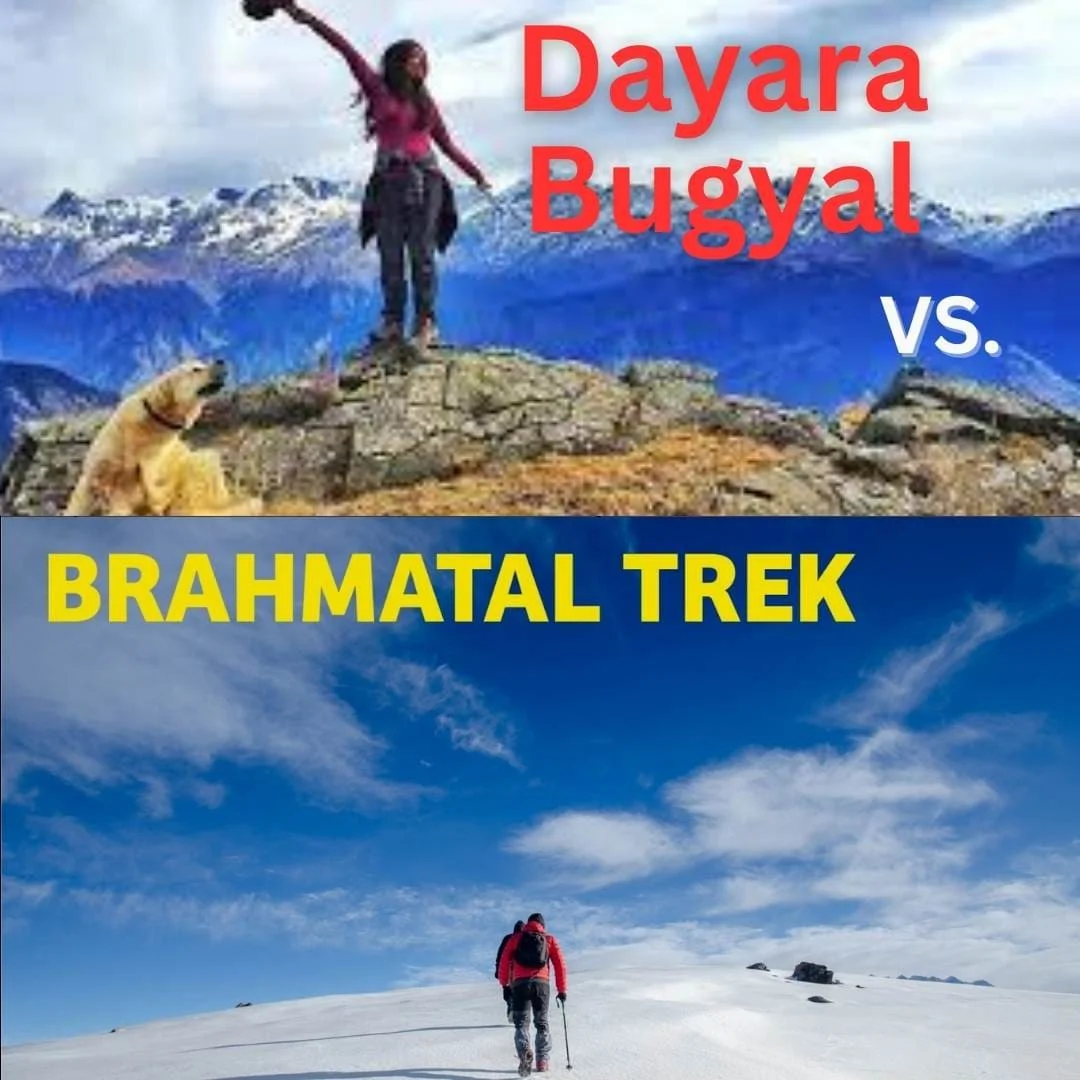 Dayara Bugyal VS. Brahmatal - Which Trek Is Best?